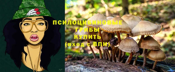 MESCALINE Майский
