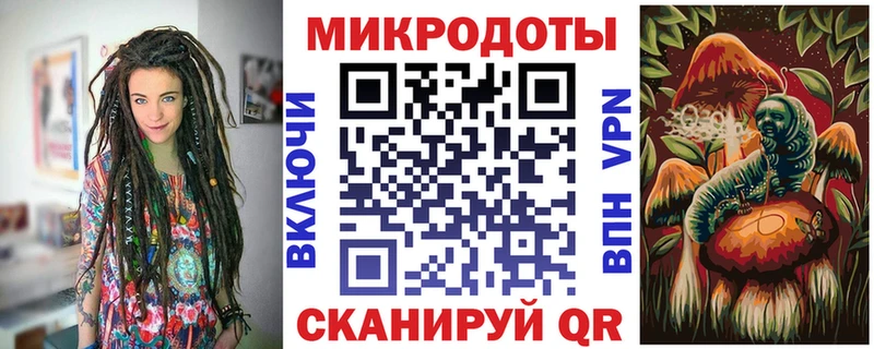 Галлюциногенные грибы Psilocybine cubensis  Черняховск 