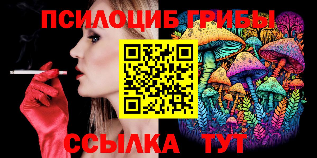 Псилоцибиновые грибы Psilocybine cubensis Черняховск